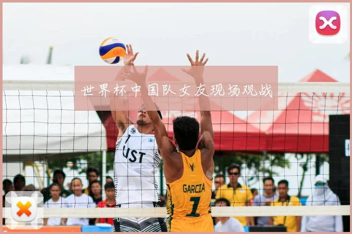 世界杯中国队女友现场观战